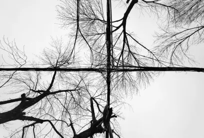 Billion Kasino Apl Mudah Alih